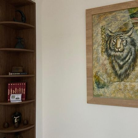 布拉索夫Casa Mountain View别墅 外观 照片