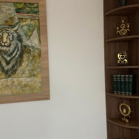 布拉索夫Casa Mountain View别墅 外观 照片