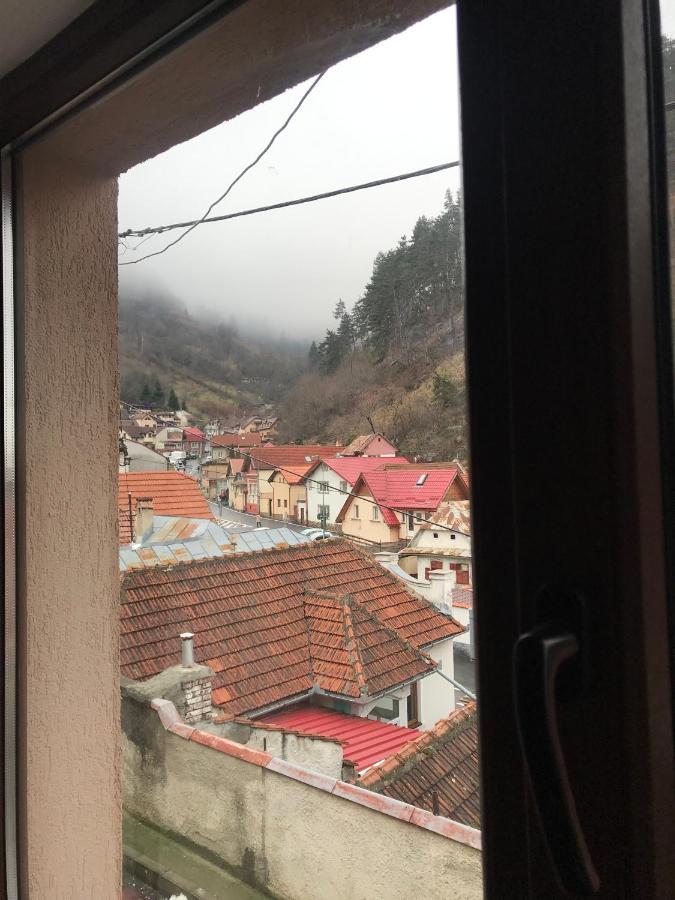 布拉索夫Casa Mountain View别墅 外观 照片