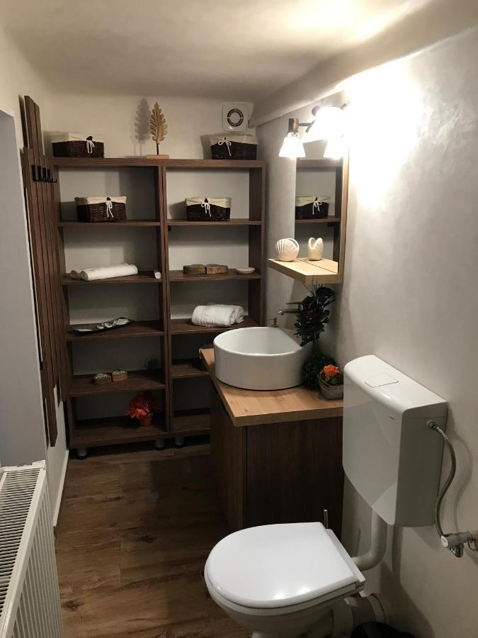 布拉索夫Casa Mountain View别墅 外观 照片