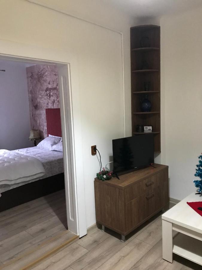 布拉索夫Casa Mountain View别墅 外观 照片