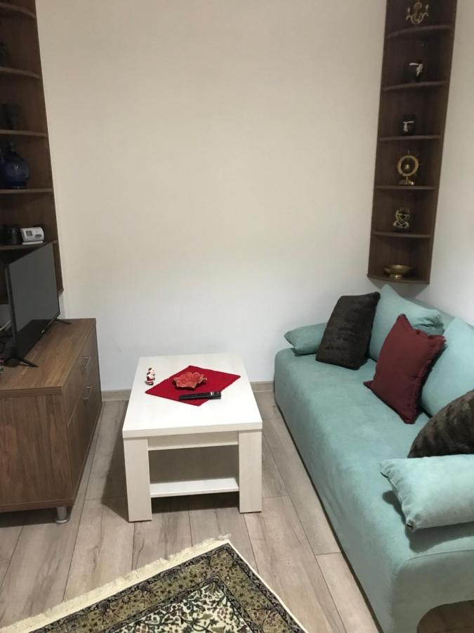 布拉索夫Casa Mountain View别墅 外观 照片