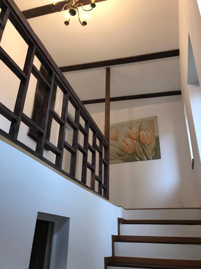 布拉索夫Casa Mountain View别墅 外观 照片