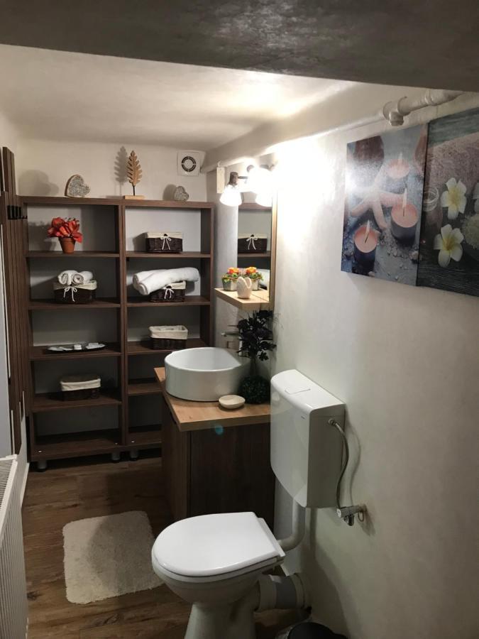 布拉索夫Casa Mountain View别墅 外观 照片