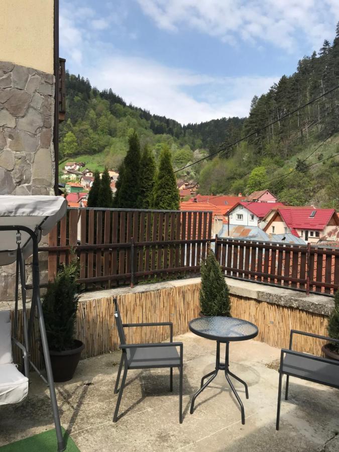 布拉索夫Casa Mountain View别墅 外观 照片
