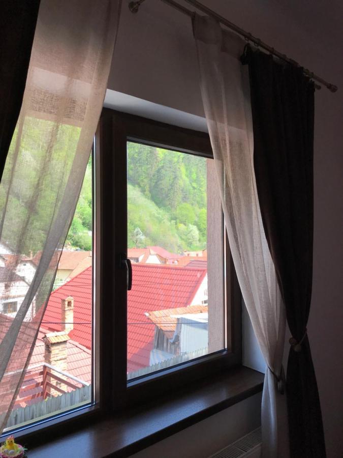 布拉索夫Casa Mountain View别墅 外观 照片